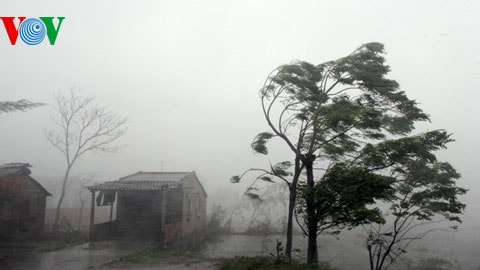 Chiếm dụng hàng hóa cứu trợ bão lũ bị phạt tới 10 triệu đồng