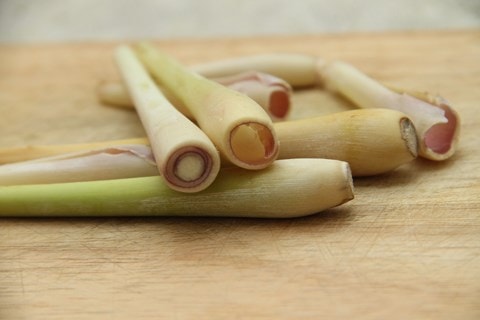 Bài thuốc phòng, chữa bệnh đường hô hấp