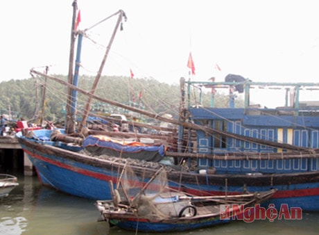 Quỳnh Lưu:  Kêu gọi tàu  thuyền tránh bão số 12