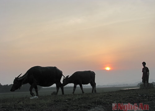 Nghẹn ngào cùng "Khúc hát sông quê"