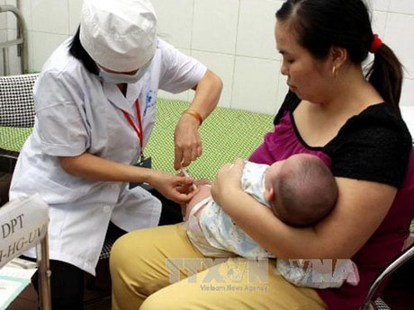 Tiếp tục tiêm vắcxin Quinvaxem trên phạm vi toàn quốc