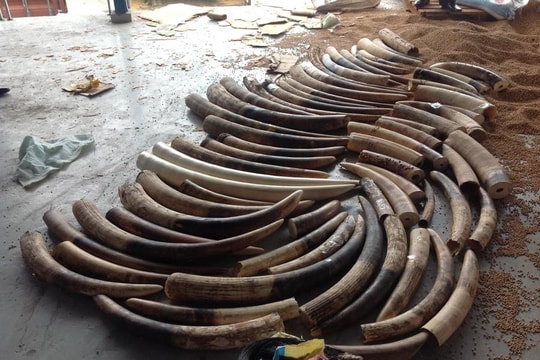 Tăng thu ngân sách từ hoạt động bán đấu giá