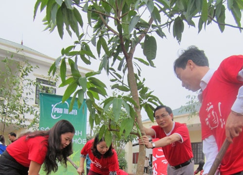 Công ty Prudential triển khai chương trình trồng cây xanh