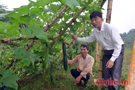 Những mô hình kinh tế ở Cẩm Sơn