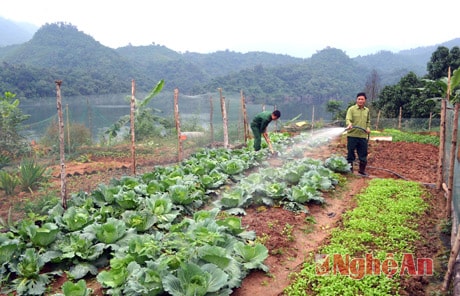 Ở Đồn Biên phòng Thông Thụ