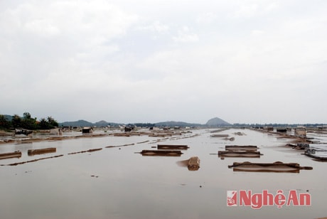 Lạch Thơi, sông Mơ bồi lắng: Người dân khốn khó