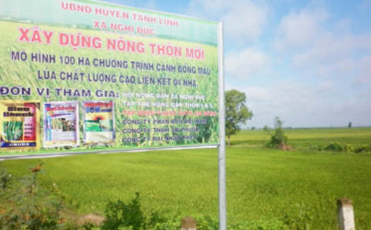 Liên kết 4 nhà - Mô hình điểm cho cánh đồng mẫu lớn