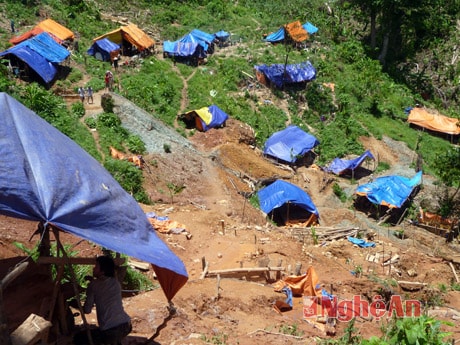 Kiểm tra, xử lý tình trạng khai thác quặng vàng trái phép tại Quế Phong