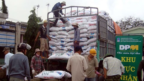 Giá phân bón tăng, nông dân gặp khó