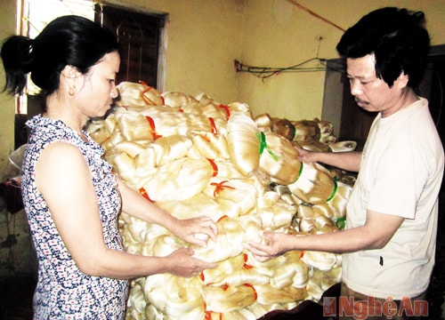 Khơi dậy nghề truyền thống trồng dâu nuôi tằm