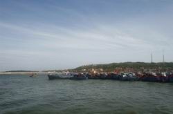 Thành lập khu bảo tồn biển Bạch Long Vĩ