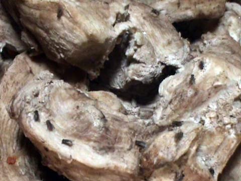 Hoảng hồn với những đặc sản Tết cực bẩn