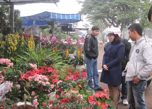 Rộn ràng thị trường hoa tết