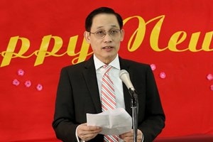 Cộng đồng người Việt Nam tại Mỹ đón Xuân Giáp Ngọ