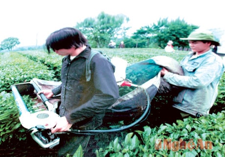 Khe Mừ, xanh màu no ấm