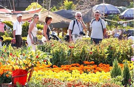 Nhiều đoàn khách quốc tế đến Việt Nam "xông đất"