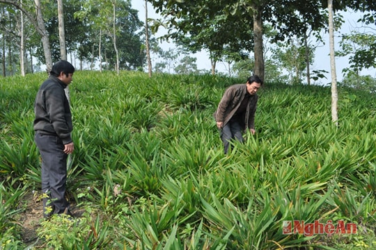 Chất lượng cán bộ là khâu đột phá