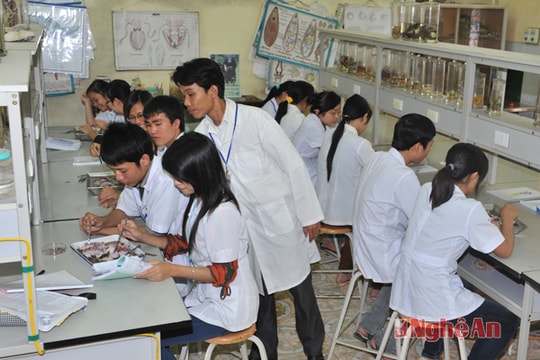 "Thông đường"... cho trường chất lượng cao