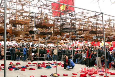 Độc đáo Hội thi Tiếng hót chim chào mào