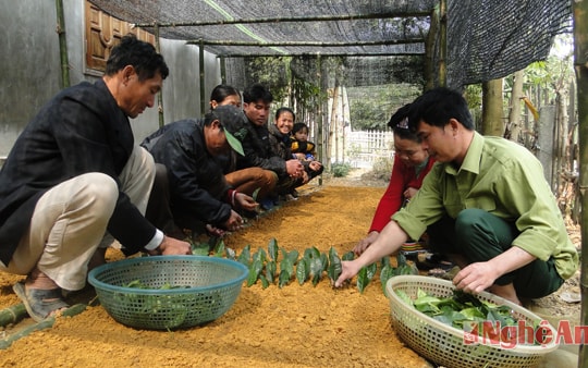 Nói đi đôi với làm