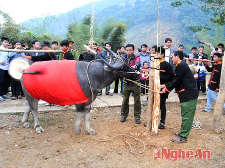 Lễ hội Đền Pu Nhạ Thầu
