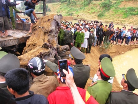 Vụ trục vớt gỗ sưa: "Trùm" buôn gỗ trả gần 1 tỷ