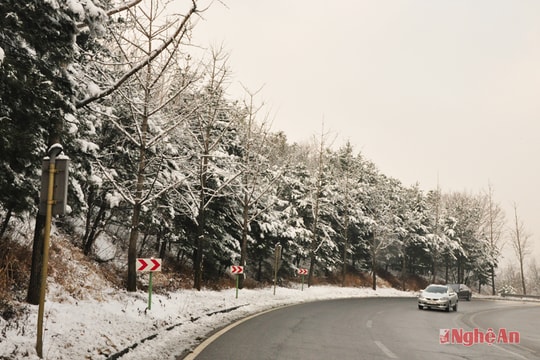 Nami-Everland: Những địa danh du lịch độc đáo của xứ sở Kim Chi