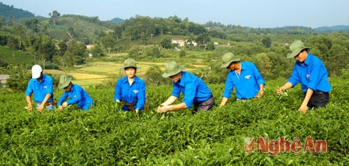 Khúc hát người khai hoang