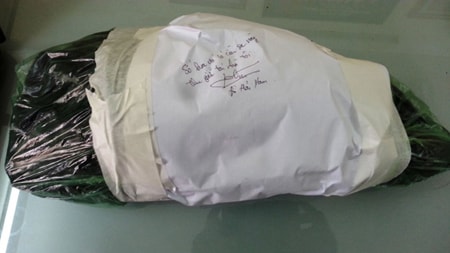 Phát hiện "công nghệ" trồng cần sa trong nhà ở Hải Phòng