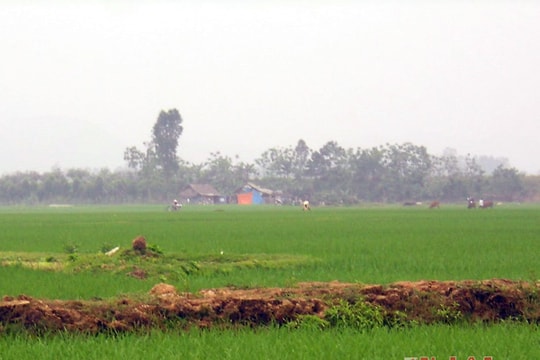 Đi bắt ốc,  hai anh em chết đuối