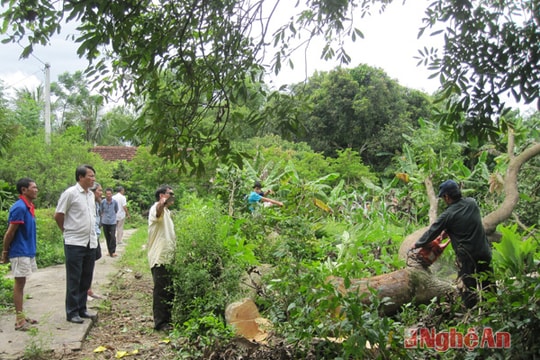 Cán bộ quyết tâm, người dân đồng thuận