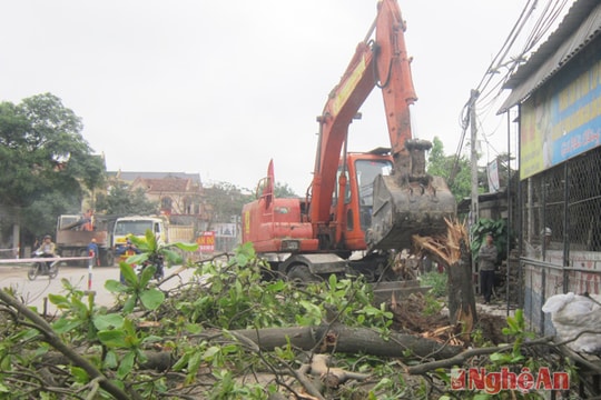 Quỳnh Hồng: Bàn giao mặt bằng kịp tiến độ cho đơn vị thi công