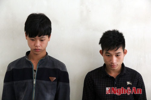 Bắt 3 đối tượng chuyên câu trộm chó