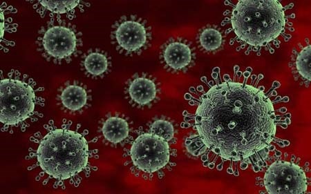 Virus cúm A/H7N9 không có khả năng lây truyền dễ dàng từ người sang người