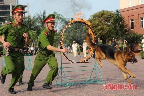 LLCS Bảo vệ và Cơ động đón nhận Huân chương Bảo vệ Tổ quốc