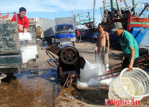 Bất cập chính sách nghề cá