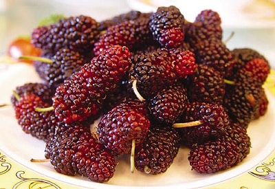 Phương thuốc cho người bệnh gan