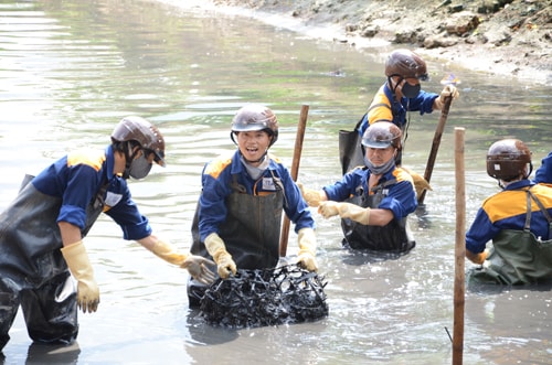 Nhiều doanh nghiệp công ích tại Hà Nội sắp bị xóa sổ