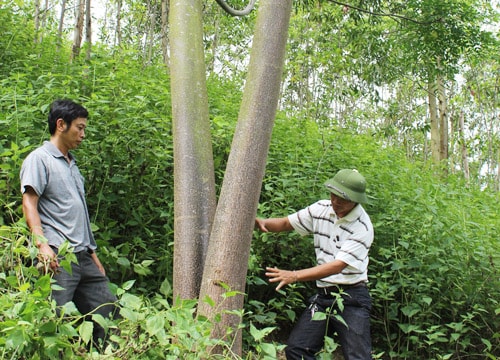 Kỳ Sơn: Lan tỏa từ hội thi bí thư, cấp ủy giỏi