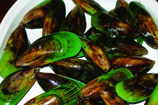 Vẹm xanh dễ nuôi, vốn ít