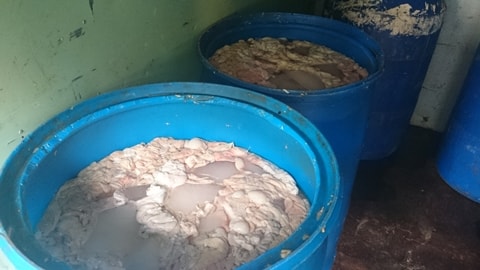 Bắt giữ 250 kg nội tạng lợn bốc mùi hôi thối