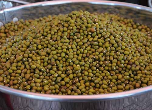 Đậu xanh - món giải nhiệt, chống độc