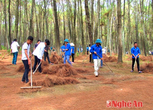 Kim Liên (Nam Đàn) ra quân phòng chống chữa cháy rừng