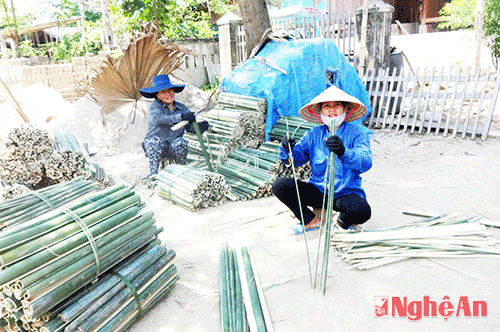 Xanh niềm vui cây lùng Châu Thắng