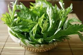 10 lí do khiến bạn nên ăn ngải cứu mỗi ngày