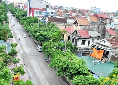 Đường hồng bàng: Đôi nét phố cũ