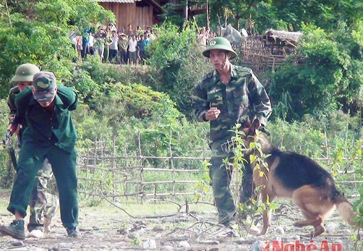 Diễn tập thực binh đánh địch xâm nhập biên giới