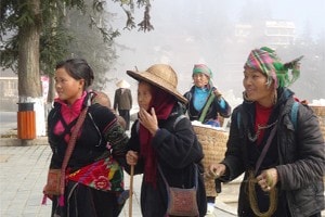 Tổ chức cuộc thi "Tận hưởng bản sắc Việt"