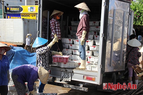 Thuyền về Lạch Quèn