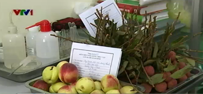 30% mẫu trái cây Trung Quốc có tồn dư hóa chất độc hại